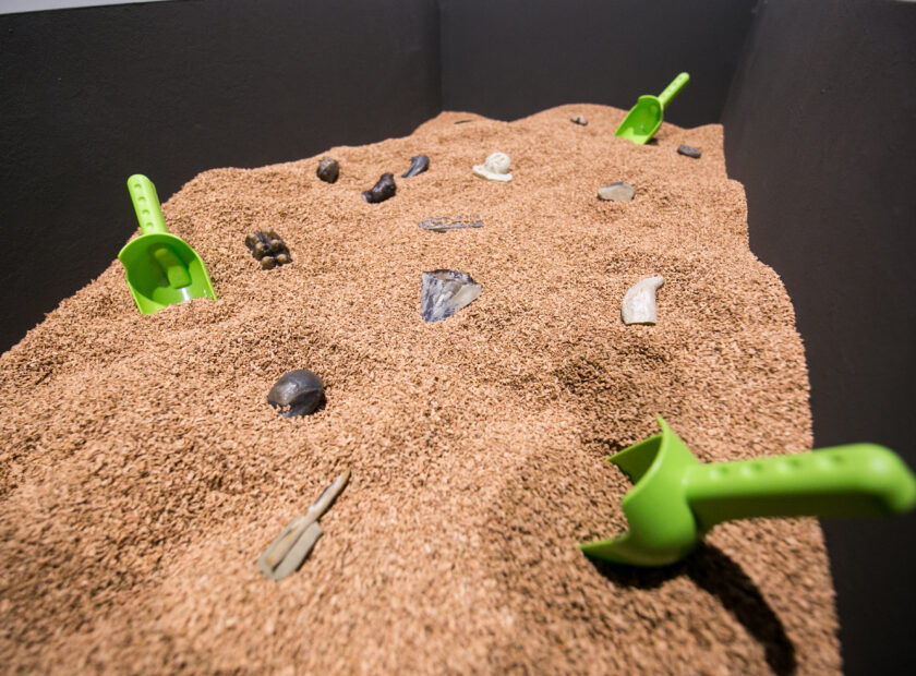 vasca di sabbia con "fossili" e palette per scavare, fa parte del gioco interattivo scava e impara realizzato da ett per i musei scientifici di napoli