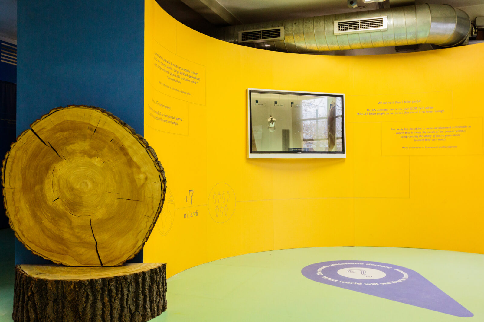 sala del maca, museo a come ambiente di torino, con parte di un tronco di un albero sulla sinistra e parete gialla curva su cui si trova uno schermo