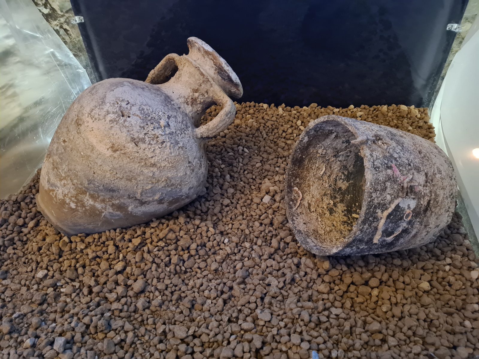 Anfore nel museo del mare di santa margherita, che fanno parte dello spazio dedicato all'esperienza sensoriale, realizzato da ETT: "Scava e Impara"