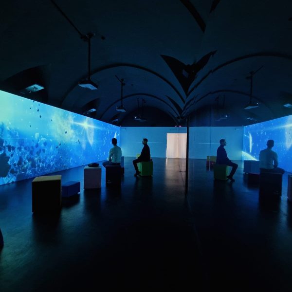 stanza con multiproiezioni e immagini di fondali marini dedicata alla balena giuliana presso il Museo Ridola di Matera