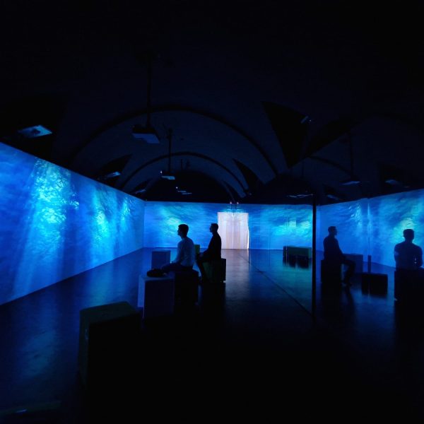 stanza con multiproiezioni e immagini di abissi marini dedicata alla balena giuliana presso il Museo Ridola di Matera