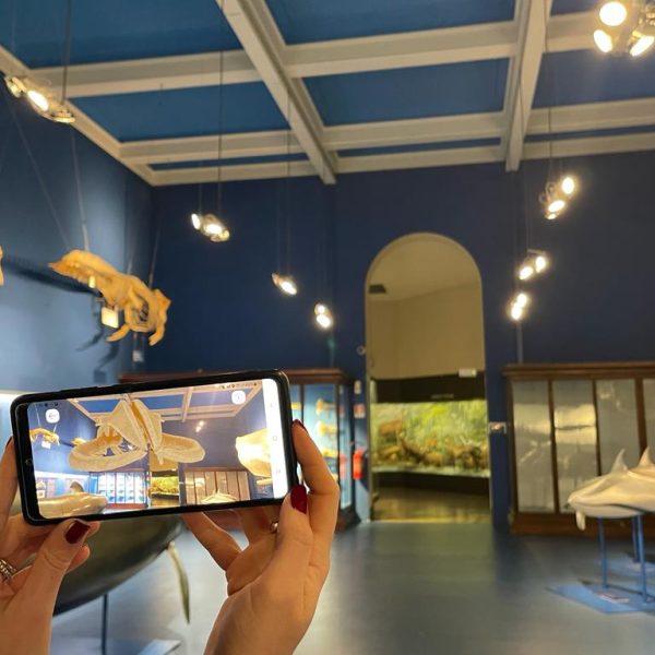 I nuovi contenuti multimediali per l’app del Museo di Storia Naturale Doria