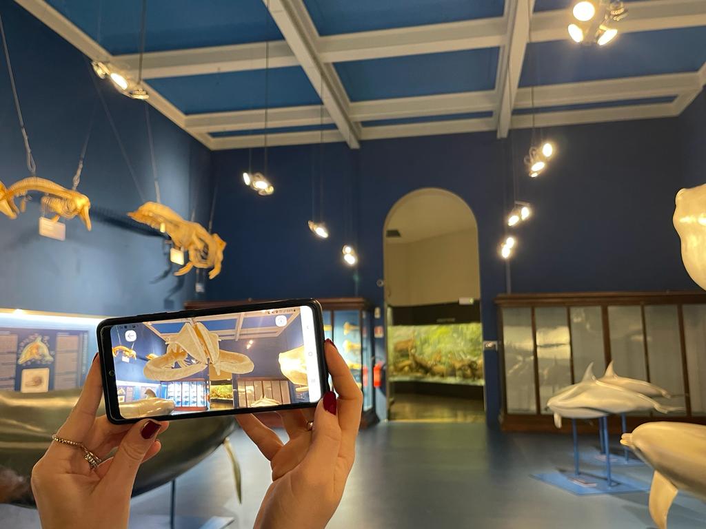mano che tiene un cellulare con l'app ar realizzata da ETT per il Museo di Storia Naturale Giacomo Doria di Genova.