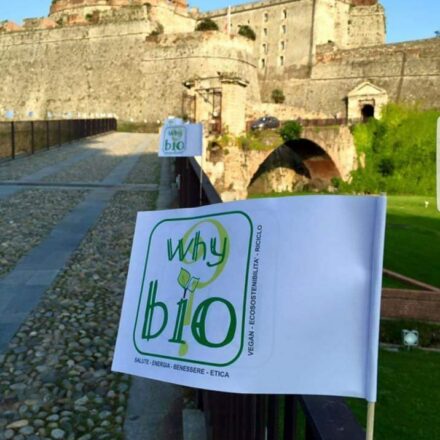 bandierine brandizzate con il logo dell'evento why bio?