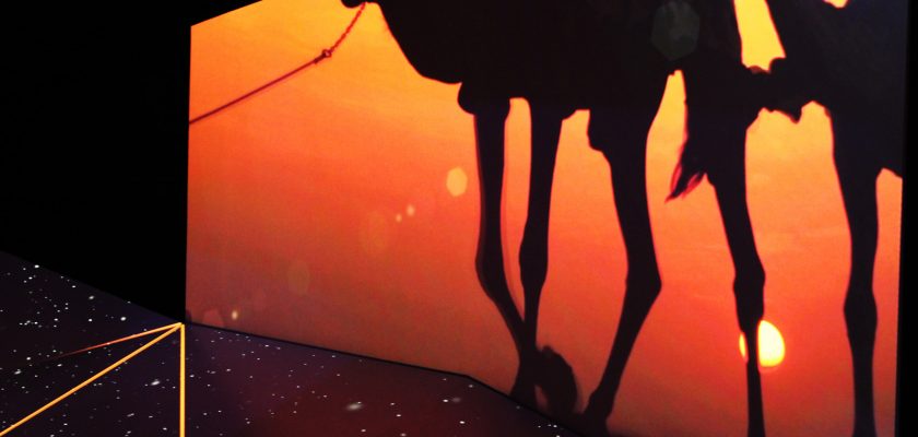 schermo con proiezione di cammelli al tramonto in una stanza buia per capire al meglio l'ecosistema dell'oasi di Al Ain, installazione a cui ha collaborato ett