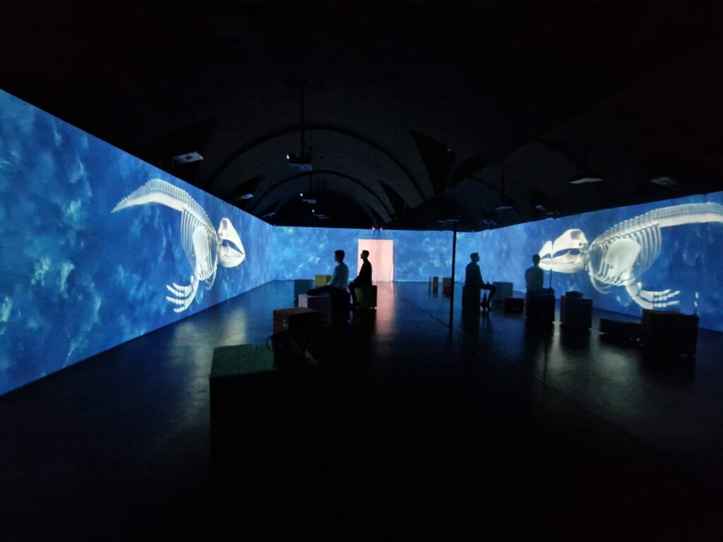 La proiezione di ETT dedicata alla Balena Giuliana presso il Museo Ridola
