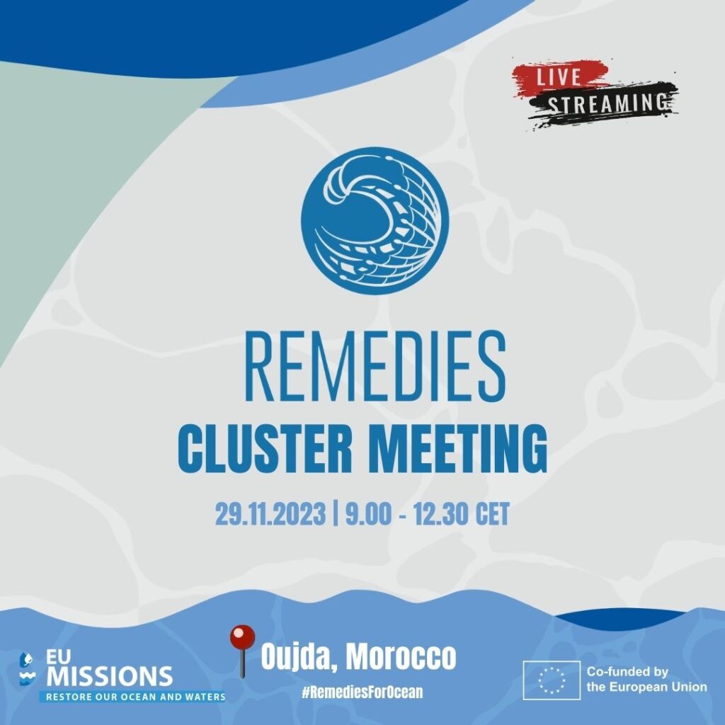 locandina remedies il primo cluster meeting