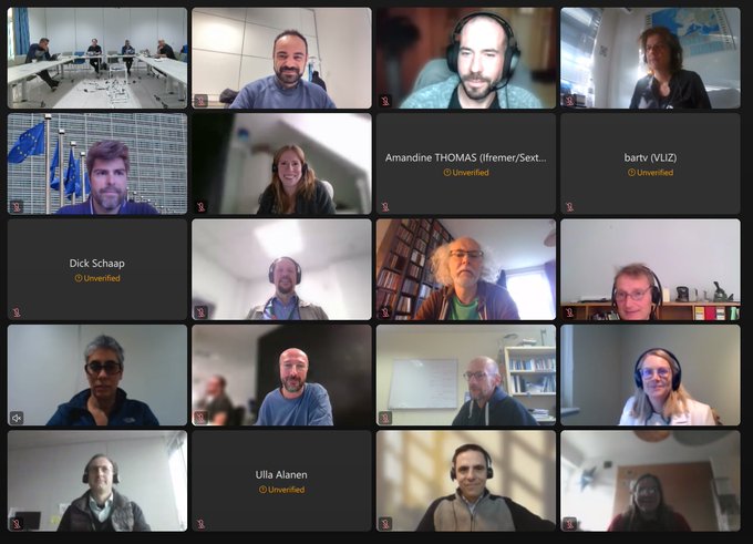 screen dell'incontro del gruppo di lavoro tecnico (Technical Working Group - TWG) del progetto EMODnet online con molti partecipanti