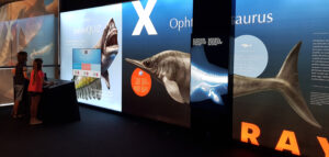 sala con lightbox all'interno del paleoaquarium