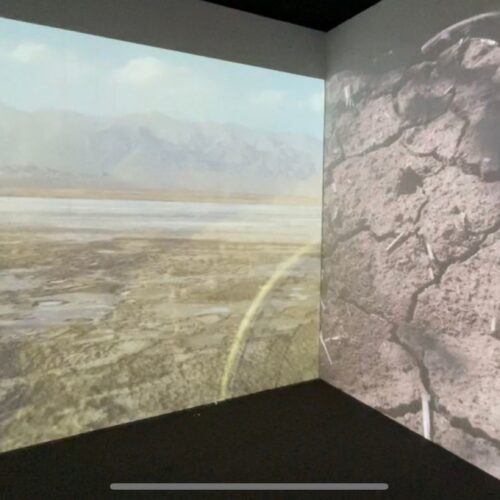 sala immersiva realizzata da ETT per la campagna di comunicazione cross-mediale efficiente per natura avviata da Regione Sicilia, nell'ambito del progetto Le energie della Sicilia